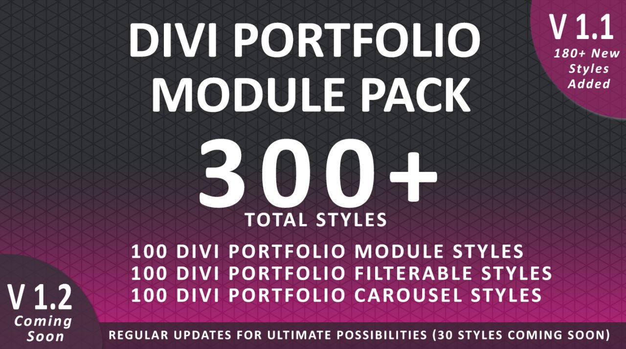 Divi Portfolio Module Install Documentation | The Ultimate Divi Modules ...